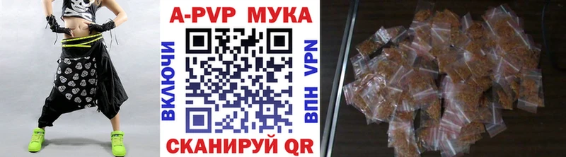 omg как зайти  дарк нет официальный сайт  A-PVP СК  Болотное 