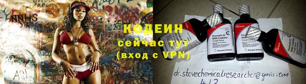 прущие грибы Абаза