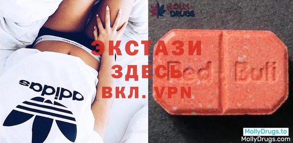 прущие грибы Абаза
